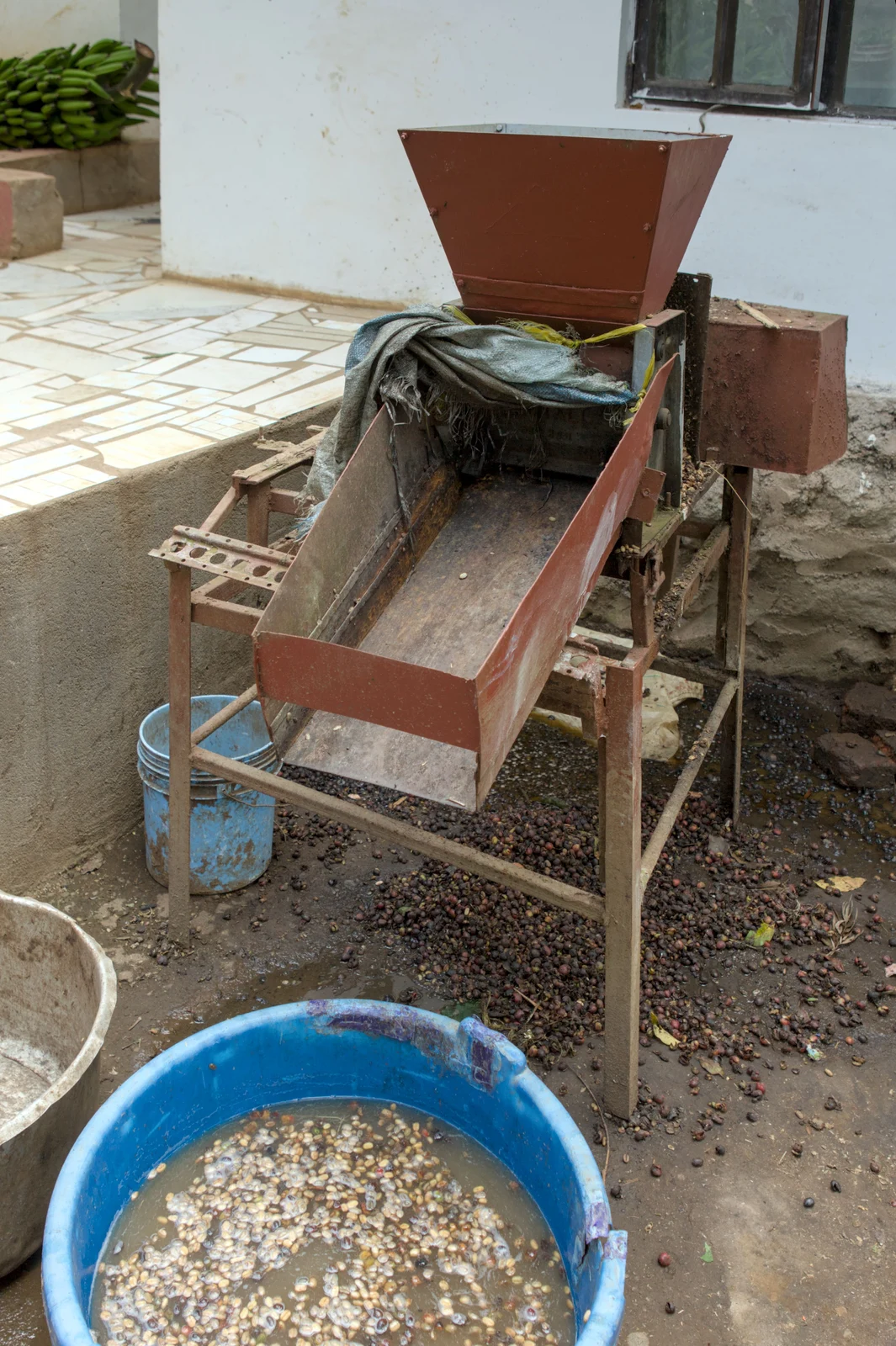 Dépulpeuse à café près d’un bassin de lavage dans une ferme en Tanzanie
